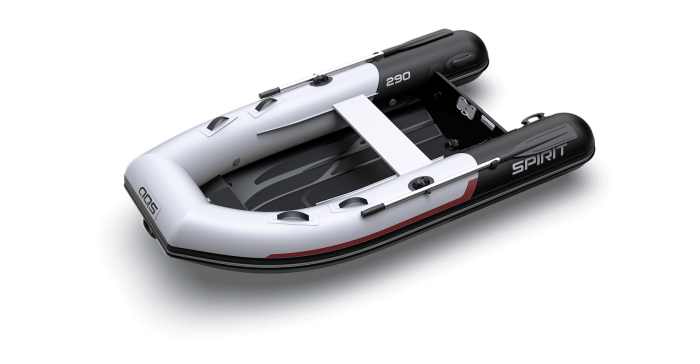 Spirit 290 RIB